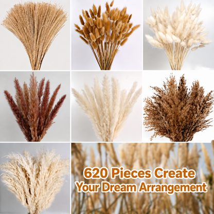 620pcs Pampas Grass Bundle, Large Boho Dried Floral Arrangement for Vase Decor, Wedding Backdrop, Event Styling and Home Decoration