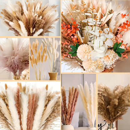 620pcs Pampas Grass Bundle, Large Boho Dried Floral Arrangement for Vase Decor, Wedding Backdrop, Event Styling and Home Decoration