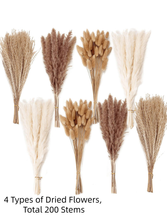 4 Types Dried Flower Bouquet Set, 100/200/300 Stems Boho Neutral Floral Arrangement for Vase Decor, Table Decor and Home Styling