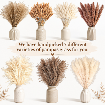 620pcs Pampas Grass Bundle, Large Boho Dried Floral Arrangement for Vase Decor, Wedding Backdrop, Event Styling and Home Decoration